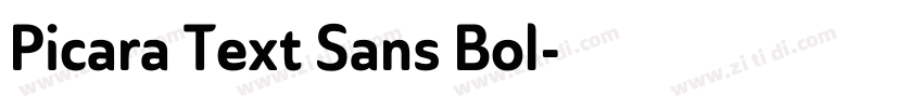 Picara Text Sans Bol字体转换